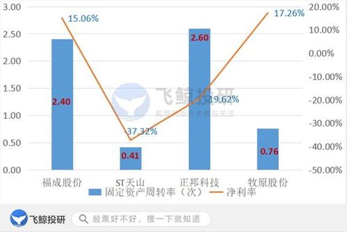 排雷必备 巧用固定资产筛选企业，优化企业资产管理